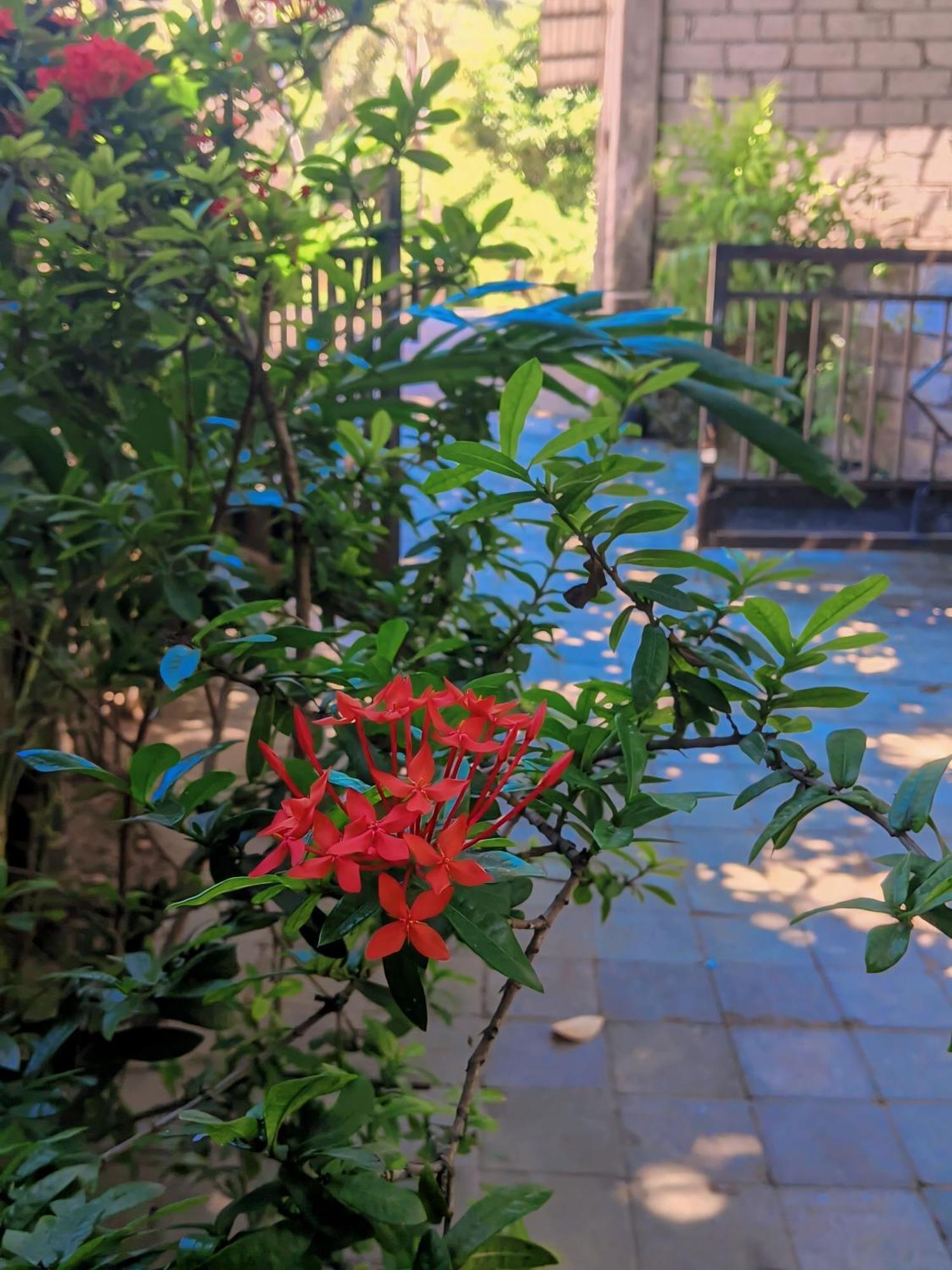 Three V Homestay Kuta  Exterior photo