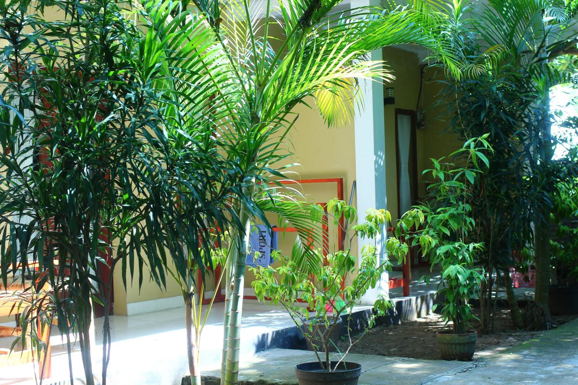 Three V Homestay Kuta  Exterior photo