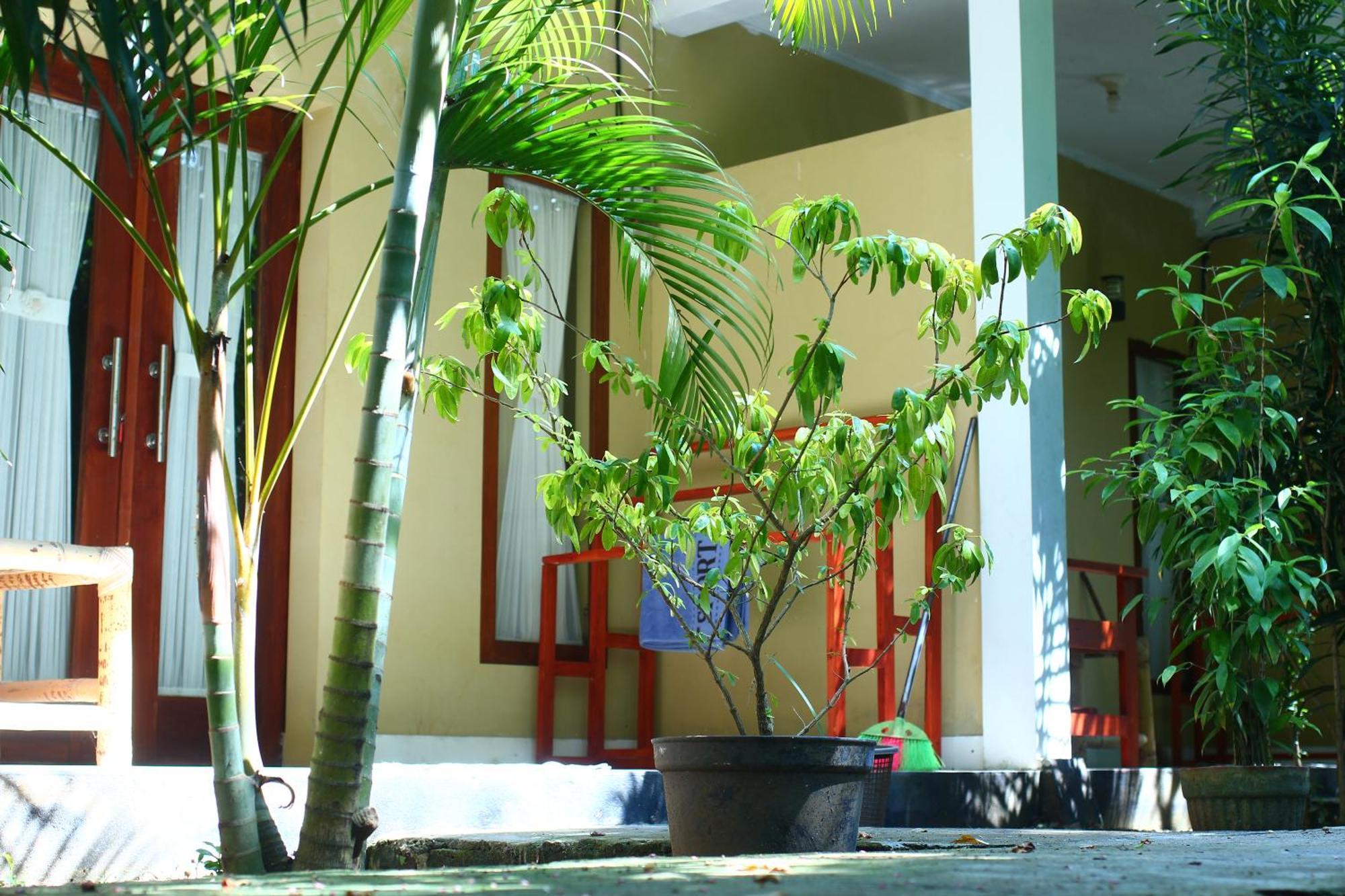 Three V Homestay Kuta  Exterior photo